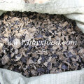 Chinese Tree Ear Fungus Black Fungus Mushroom